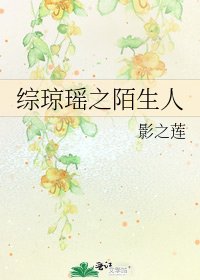 综琼瑶之陌生人